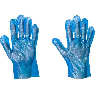 China Plain or Microgroove Food Processing PE/HDPE Transparent Disposable Gloves/LDPE for sale