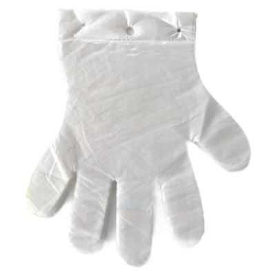 China New Food Grade Plain Or Microgroove Waterproof Poly Gloves For MacDonald for sale