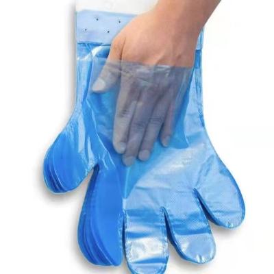 China New Food Grade Plain Or Microgroove Powder Free Sanitary Shield Gloves For KFC for sale