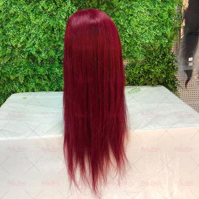 China Brazilian Silky Straight Hair Wave Wigs Pre Plucked Baby Hair, Hair Colored Wigs, Virgin Straight Lace Front Wigs for sale