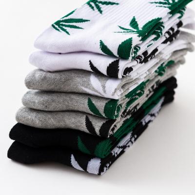 China Green Gray Cotton Socks New Arrival Leaf Weed Cotton Black White Men Women Sports Unisex Couples Socks for sale