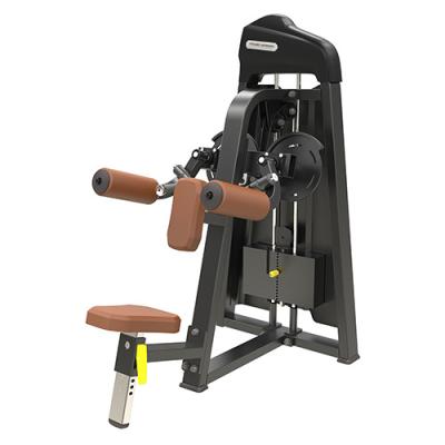 China Commercial Use Force Equipment Pin Loaded Lateral Raise A3 Series for sale