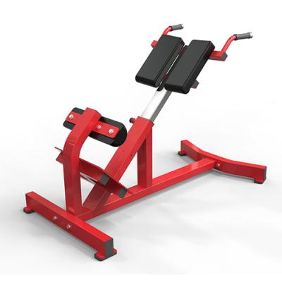 China Commercial Use Hammer Strength Gym Equipment Back Extension for sale