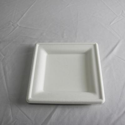 China Sugar Cane Minimalist Biodegradable Bamboo Bagasse Disposable Square Dish for sale