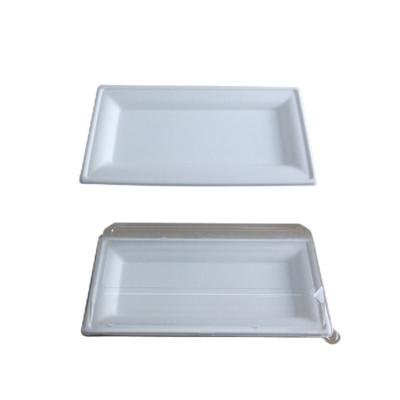 China Modern Disposable Sugar Cane Rectangle Dish With Lid Bagasse Pulp Dish For Takeout And Party for sale