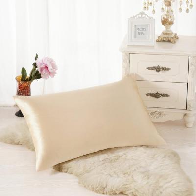 China Non-toxic 19mm pure silk organic silk pillowcase from pillowcase bestseller for sale