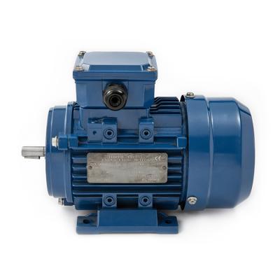 China Waterproof Three 3 Phase Induction Ac Electric Motor For Water Pump for sale