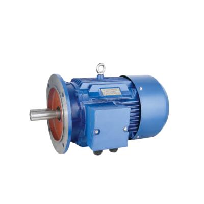 China 0.17hp-750hp Y2 Series Waterproof Three Phase Induction AC Electric Motor With Cast Iron for sale