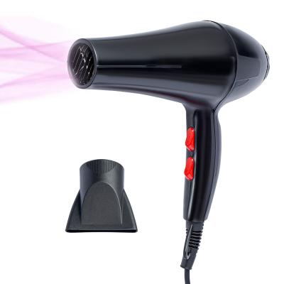 China Hot Selling Ionic Dual Function Voltage Household Hair Dryer Appearance Hair Salon Equipment Professional Cooling Hair Dryer Handsome for sale