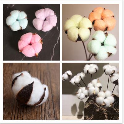 China Factory post flower wire iron cotton wholesale price flower dry cotton with stem simulation cotton of the retro for sale