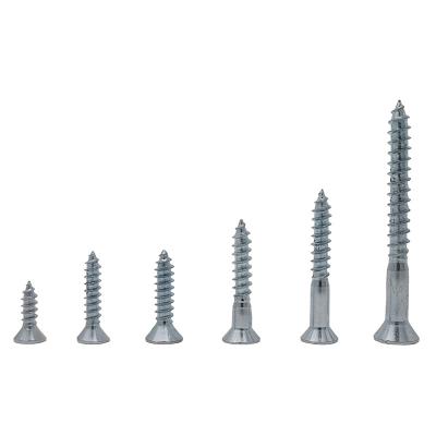 China Popular Decoration Item At Australia Market 200pcs Wood Screws Kit In Visible Double Side PP Box for sale