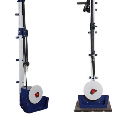 China Durable Vertical Flywheel Resistance Trainer Vertical High and Low Pull Eccentric Flywheel Trainer for sale