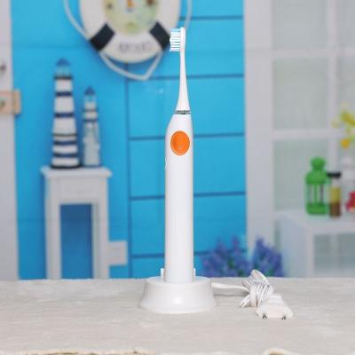 Chine BLYL 48000/Min Ultrasonic Waterproof Rechargeable Electric Toothbrush with 4 Heads Oral Hygiene Dental Care for Adults à vendre