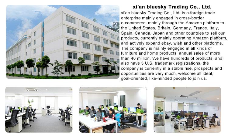 Verified China supplier - Xi'an Bluesky Trading Co., Ltd.