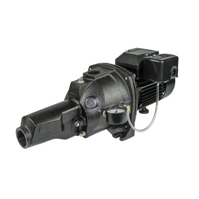 China Other Cast Iron Jet Pumps Well Convertible Deep Well Water Pumps for sale