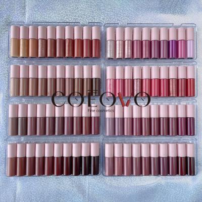 China COEOVO waterproof make logo matte mini lip gloss shine lip gloss nude lip gloss lip gloss for sale