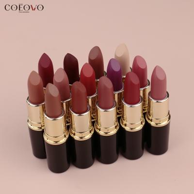 China OEM Matte Lipstick Vegan Velvet Long Lasting Waterproof Matte Cream Lipstick Matte Lipstick for sale