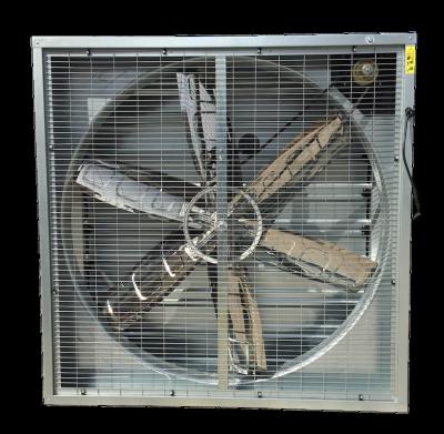 China Industrial Ice Cooler Airflow 25000 m3/h Air Belt Cooling Exhaust Fan Type for sale