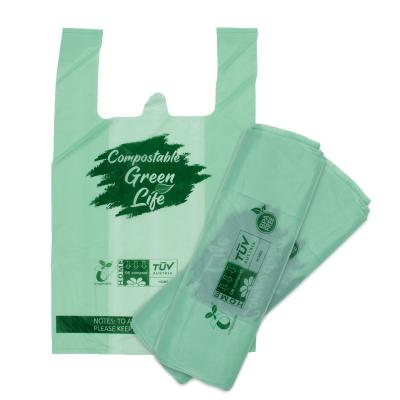 China BIODEGRADABLE Eco-friendly custom matte zipper bag biodegradable clothing swimwear t-shirt zipper lock bags with own logo for sale