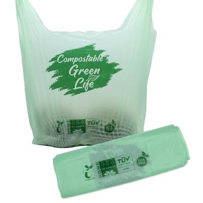 China Custom Printing BIODEGRADABLE d2w bio heavy duty retail degradable large die cut plastic bags with own logo for sale