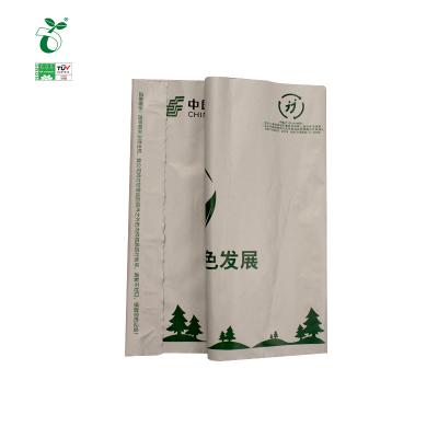 China High Quality Custom Logo Biodegradable Plastic Mailing Bag Envelope Messenger Compostable Bag BIODEGRADABLE for sale