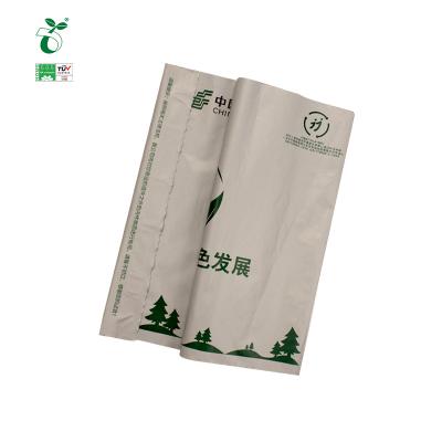 China Customized Logo Shipping Mailing Envelope Express Mailing Bag Pouch BIODEGRADABLE Degradable Plastic Bag With Messenger Bag for sale