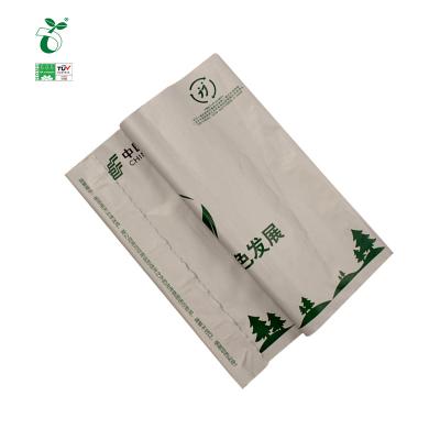 China BIODEGRADABLE Cheap Custom Polymailer Plastic Envelope Mailer Mailer Polymailer Mailing Mailing Bag for sale