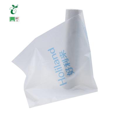 China Customized color BIODEGRADABLE composting food plastic bag for packaging desserts for transporting PLA degradable flat bag with logo for sale