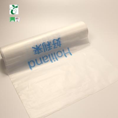 China BIODEGRADABLE Biodegradable Compostable Reuse White Green Green Biodegradable Plastic Adhesive Sealed Satchel Custom Logo for sale