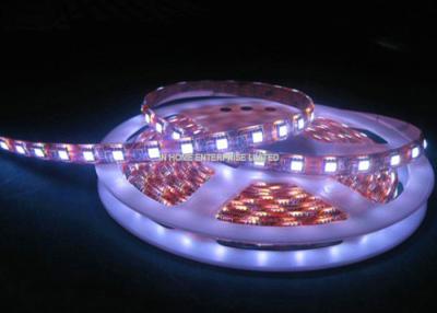 China IP65 12V Led Strip Lights SMD 5050 Led Strips in Red , Blue , Green Color for sale