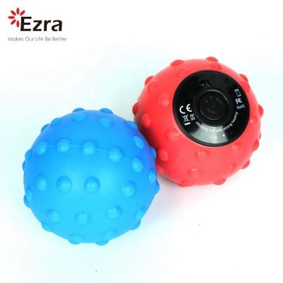 China Home Use Chargeable Body Use Electric Vibration Trackball Massager for sale