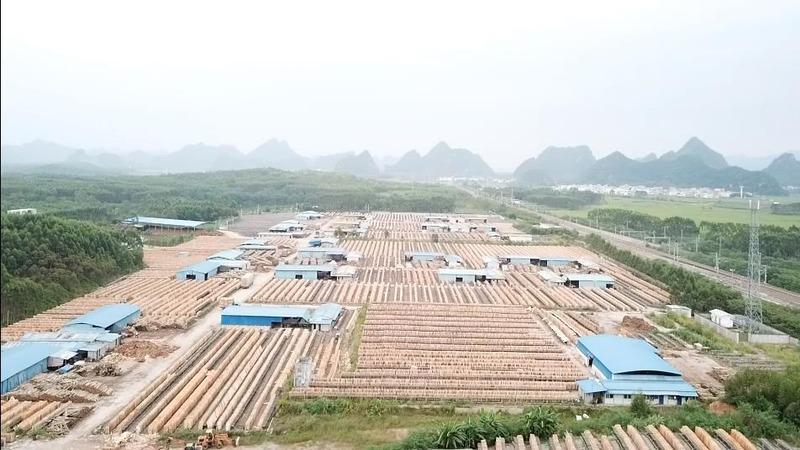 Verified China supplier - Nanning Hengxing Wood Industry Co., Ltd.