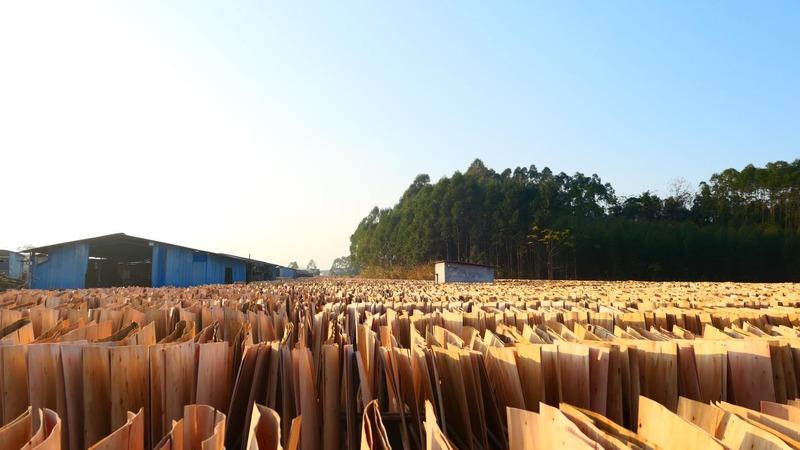 Verified China supplier - Nanning Hengxing Wood Industry Co., Ltd.