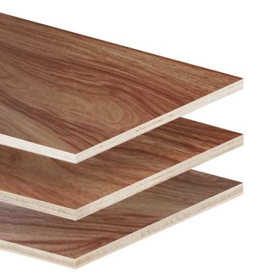 China Professional Wardrobe Construction Plywood Manufacturer Eucalyptus Plywood Melamine Plywood Wooden Sheet for sale