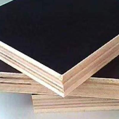 China Strong adhesive strength plywood manufacturerProvide eucalyptus laminated plywood long life water proofing good plywood for sale