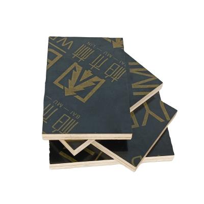 China Strong adhesive strength plywood manufacturerProvide eucalyptus laminated plywood long life water proofing good plywood for sale