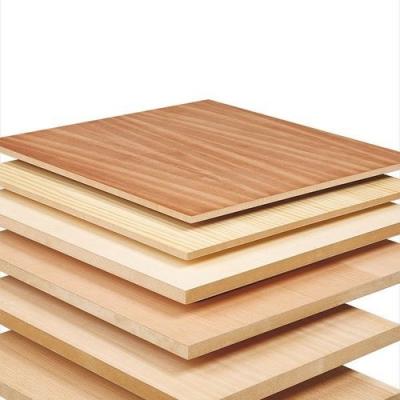 China Office professional film faced plywood custom designed eucalyptus fabrication particle board plywood for sale