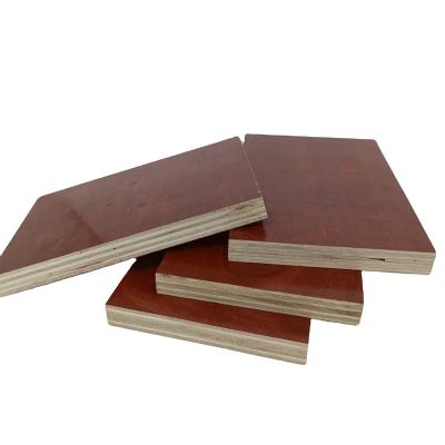 China Office professional film faced plywood custom designed eucalyptus plywood fabrication particle board fabrication for sale