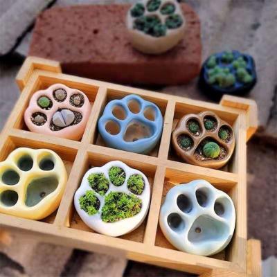 China Creativecement Country Mini Cheap Wholesale Handmade Cartoon Flower Butt Medal Cute Cat Paw Meat Stone Flower Pot, 10 lithops for sale