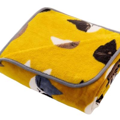 China New Plane Plain Low Price Printed Soft Flannel Blanket Comfortable Travel Blanket for sale