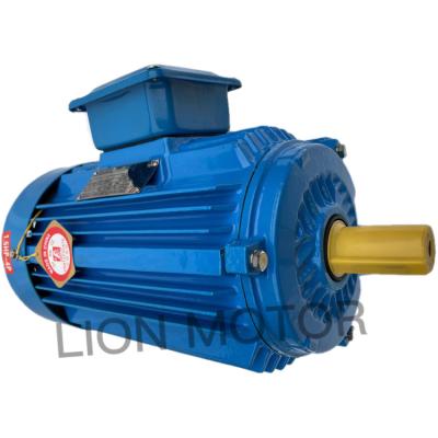 China IP55 Electric Motor High Efficiency Three Phase Three Phase Induction Motor for sale