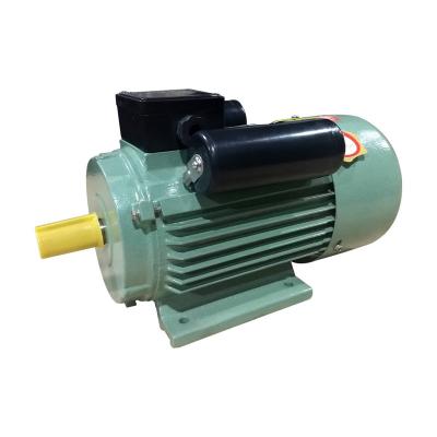 China IP44/IP54/5IP55 YC/YCL Series Electric Motors AC Motor Single Phase Induction Motors for sale