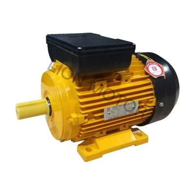 China Best selling MC series 1.5KW 2HP 2830RPM synchronous AC motor of standard voltage IP44/IP54/IP55 on other machine for sale