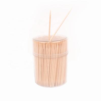 China Dental Toothpick Containers Disposable Wholesale Plastic Toothpicks for sale