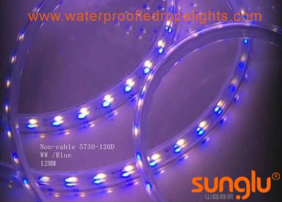 China Blaues und des Weiß-5730 wasserdichtes doppeltes der Reihen-LED Band-Licht Streifen-des Licht-/10MM LED zu verkaufen