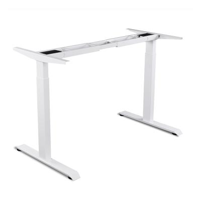 China (Size) Dual Motor Sit Stand Adjustable Height Standing Electric Ergonomic Electric Desk for sale