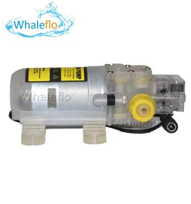 China Bomba de aumento de presión autocebante de la bomba de agua del diafragma de la categoría alimenticia de Whaleflo DC 12V 70W para la leche S06 del vino en venta