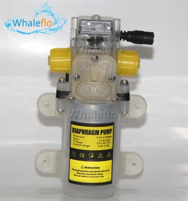 China Bomba de agua del diafragma de la categoría alimenticia de la C.C. de Whaleflo 70W 12/24v para la bomba de aumento de presión autocebante de la leche del vino con el interruptor automático en venta