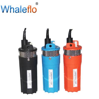 China Bomba solar profunda del pozo 12v/24v DC 6LPM de Whaleflo para el abastecimiento de agua casero remoto en venta