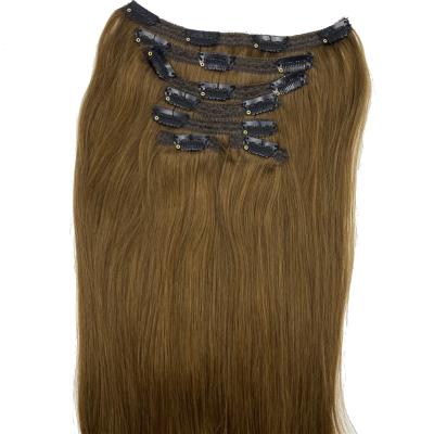 China Economic Pure Original Natural Hair Custom Design Natural Clip In Hair 100% Seamless Water Wave Hair Extension for sale